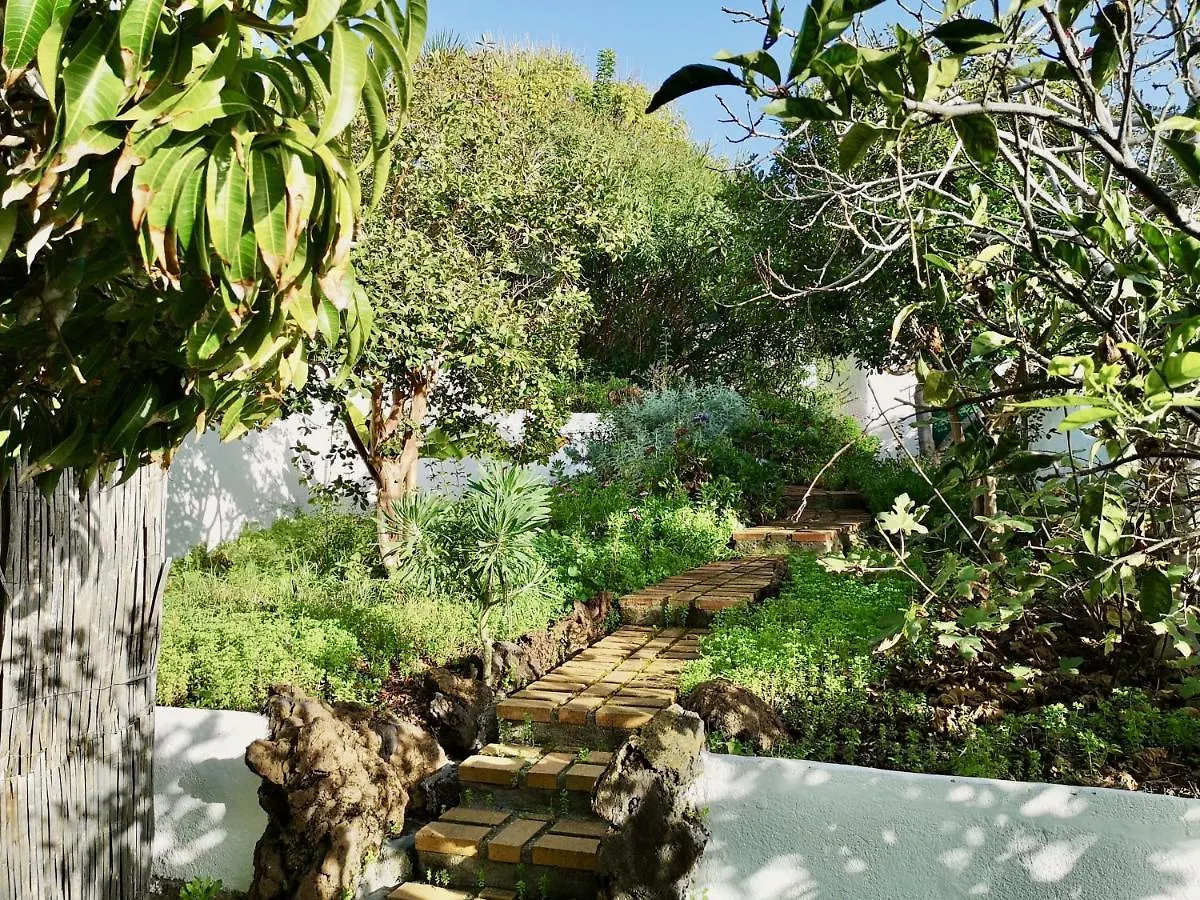 펜션 La Matanza De Acentejo Nanou House 빌라
