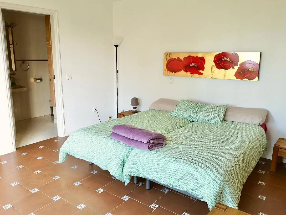 Nanou House Villa La Matanza De Acentejo Holiday home